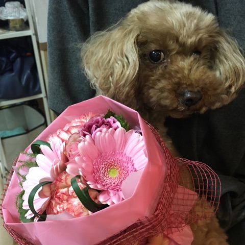 卒業犬🐶パート３